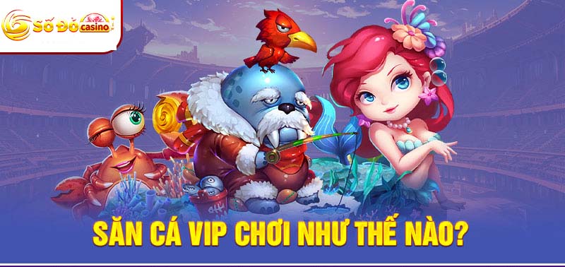 Cách chơi bắn cá VIP