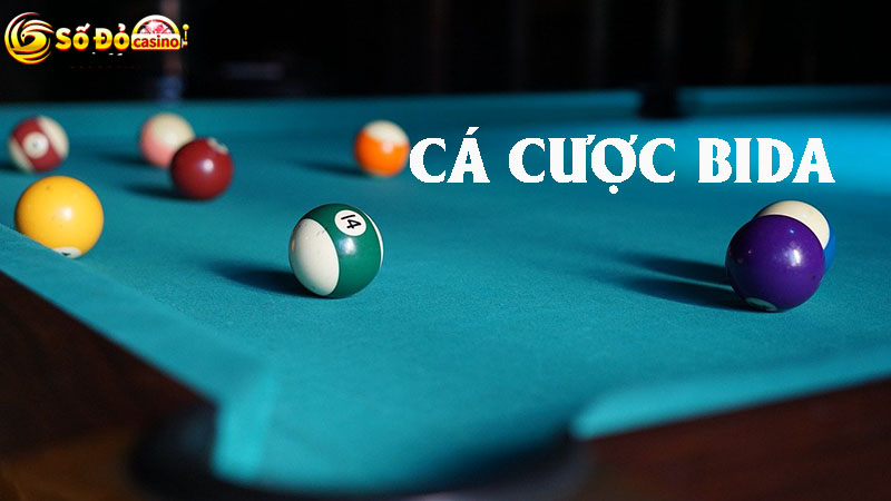 Sẽ chỉ có môn snooker được đưa vào cá cược